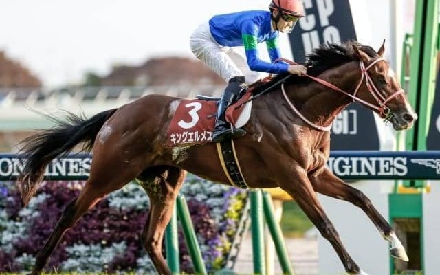 【マイラーズC予想】路盤改修で傾向に変化は生まれるか