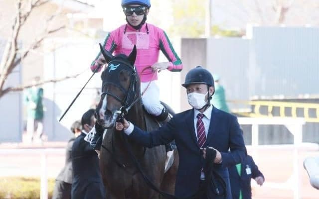 【フローラS予想】激走傾向2枠と8枠は継続中？ さらに狙える前走ローテと血統とは？