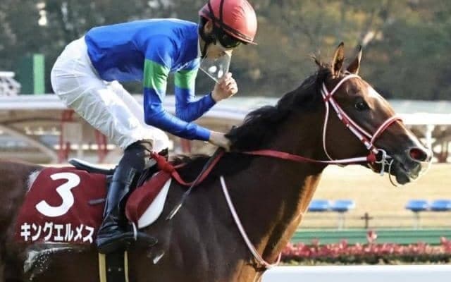 【マイラーズC予想】展開と高速馬場を味方に押し切り期待