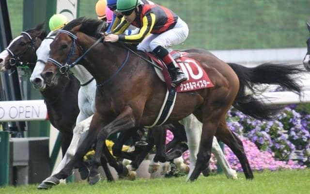 【マイラーズC結果】シュネルマイスターが京都開幕重賞を制す 1年半ぶりの復活V