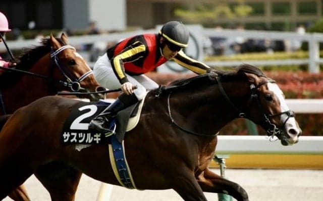 【新緑賞】単勝1.2倍 サスツルギが人気に応える