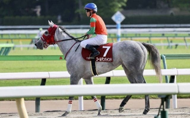【フローラS】菅原明「オークスの方が楽しみ」ゴールデンハインドがオークス切符獲得