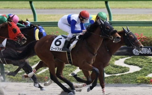 【東京6R】ロードフォンスが差し切って2勝目