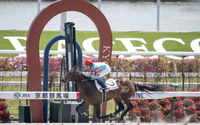 【京都6R】武豊騎乗 ヤマニンウルスが6馬身差圧勝