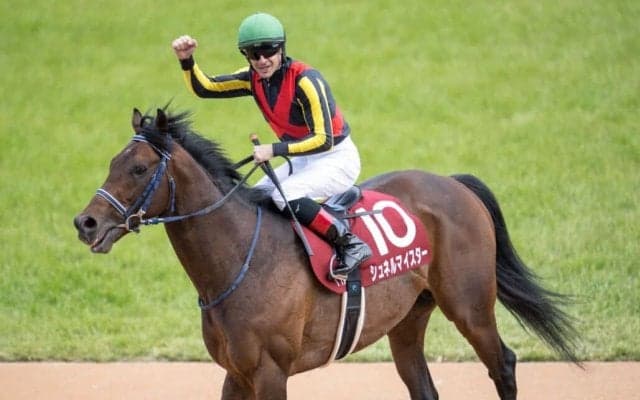 WIN5は75万円超の払戻し…マイラーズカップはシュネルマイスターが復活V