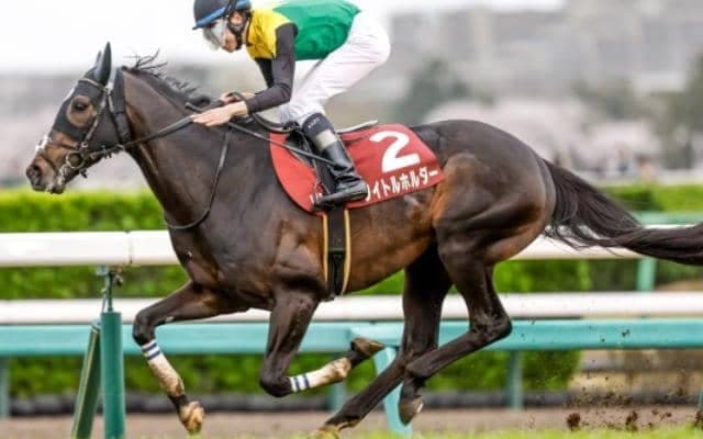 【天皇賞・春見どころ】前年覇者タイトルホルダーは淀でも栄冠を掴めるか