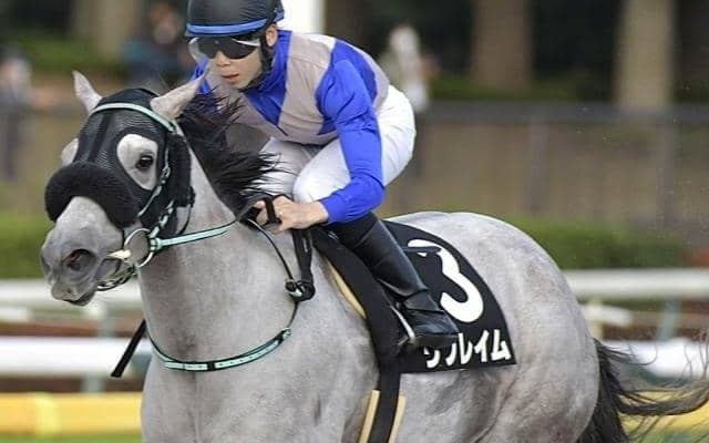 リフレイムがコントレイルの仔を受胎 腰の治療を受けながら繁殖入り