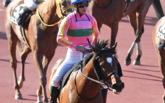 単勝158倍評価を覆してOP入りした伏兵＆21年東京JS覇者らがJRA登録を抹消