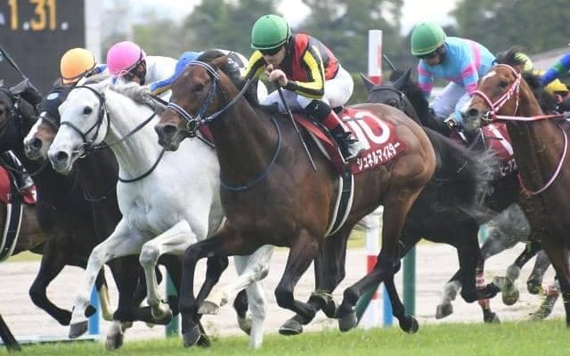 【マイラーズC】売上は68億7627万3100円で昨年より約5億円増加