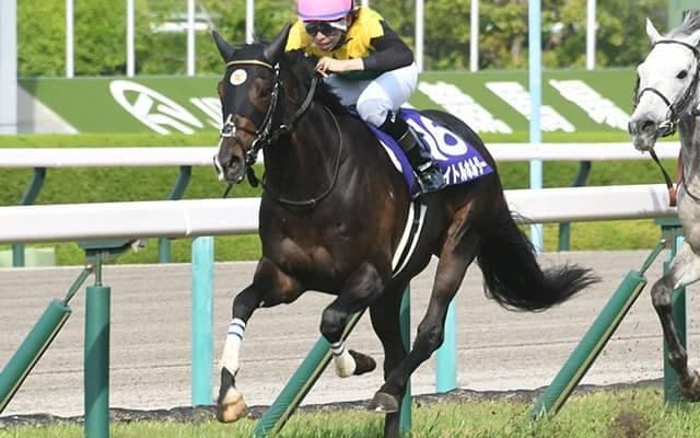 【AI予想・天皇賞(春)】世代交代はまだ早い!? 長丁場で見せる圧倒的な強さ