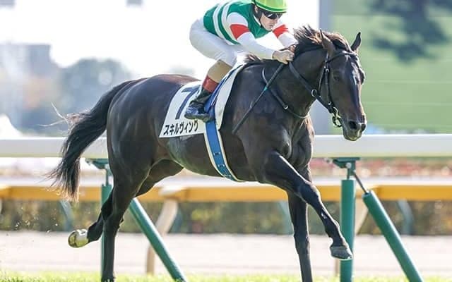 【青葉賞想定騎手】スキルヴィングはC.ルメール騎手、サヴォーナは池添謙一騎手