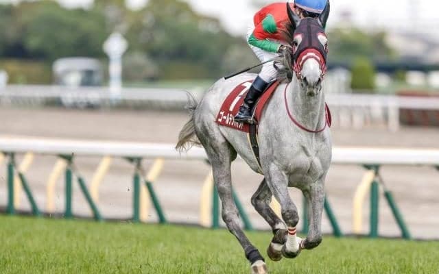 牝馬が強いゴールドシップ産駒 ゴールデンハインドもオークスに不安なし