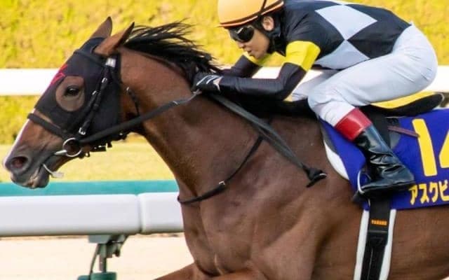 ディープ産駒が父SS超えのJRAGI・72勝目狙う 天皇賞(春)にアスクビクターモアなど5頭