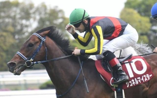 シュネルマイスターが新装京都で復活V 種牡馬としての魅力も高い血統背景とは
