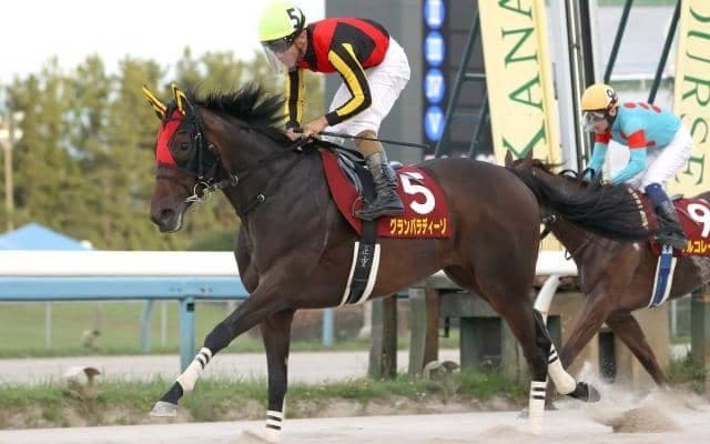 【浦和・しらさぎ賞枠順】GI馬ステルヴィオの半妹グランパラディーゾは6枠7番