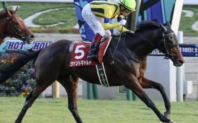 ヴァンドギャルドがブラジルで種牡馬入り ディープ産駒でソールオリエンスの半兄