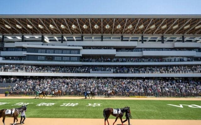 【中央競馬】JRA×Yahoo! JAPANでG1レースなどの競馬情報検索が便利に