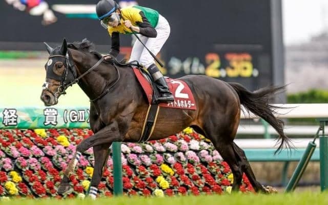 【天皇賞・春予想オッズ】タイトルホルダーが予想1番人気