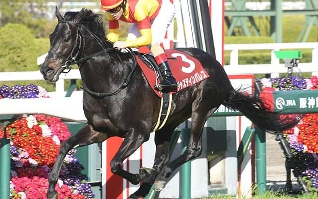 隆盛誇った阪神大賞典組から春の盾を制するは？ 5年ぶりVへ大挙8頭が登録