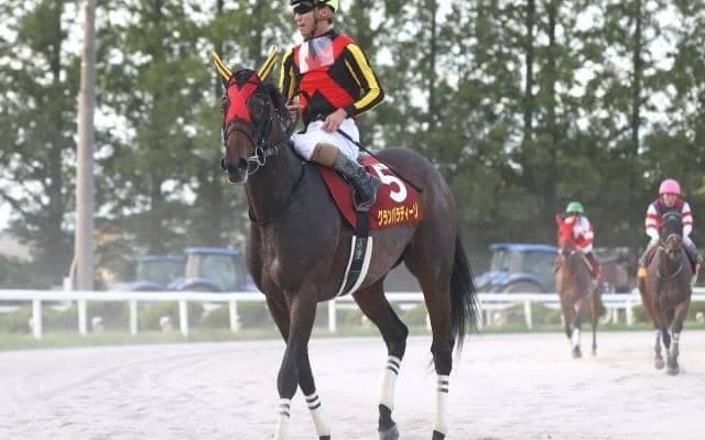 【浦和・しらさぎ賞注目馬】GI馬ステルヴィオの妹グランパラディーゾが2つ目のタイトルつかむか