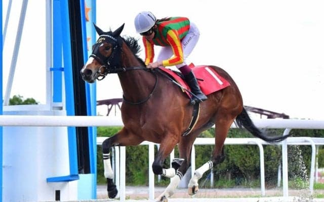 【笠松・春和特別】今村聖奈が今年の20勝目…アイヤナで逃げ切りV