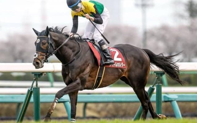 【天皇賞(春)予想】AIが指名したのは実績上位馬 過去のレース傾向からも不安要素なし