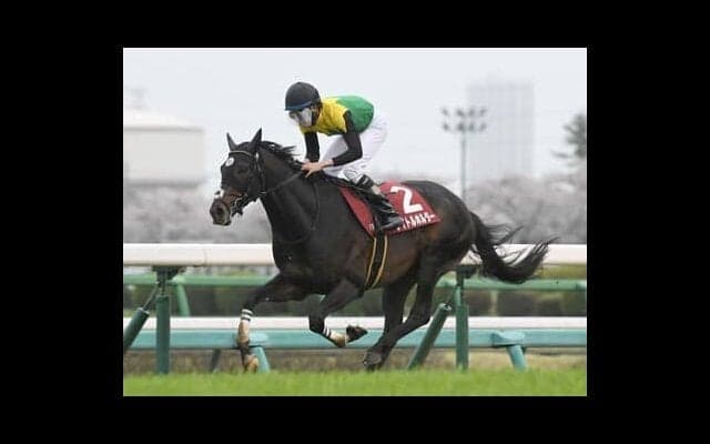 天皇賞・春の本命タイトルホルダーの血統的信頼度は？　もう１頭の注目は長距離適性が高いディープインパクト産駒