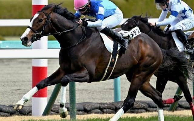 ディープインパクトの血が狙いの青葉賞 今年は“母の父”を持つ伏兵に要注意だ