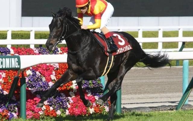 【天皇賞(春)予想】複勝率60％！ 長距離戦で圧倒的成績残す騎手とは