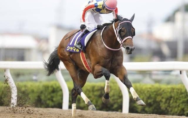 【船橋・かしわ記念出走予定馬】シャマル、メイショウハリオら