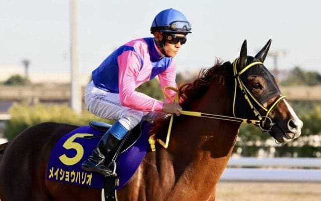 【かしわ記念】メイショウハリオなどJRAから６頭が出走