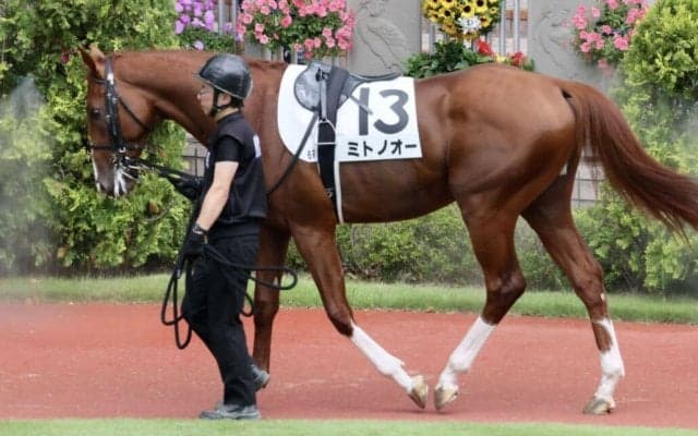【兵庫CS】武豊騎乗予定、ミトノオーなどJRAから5頭が出走