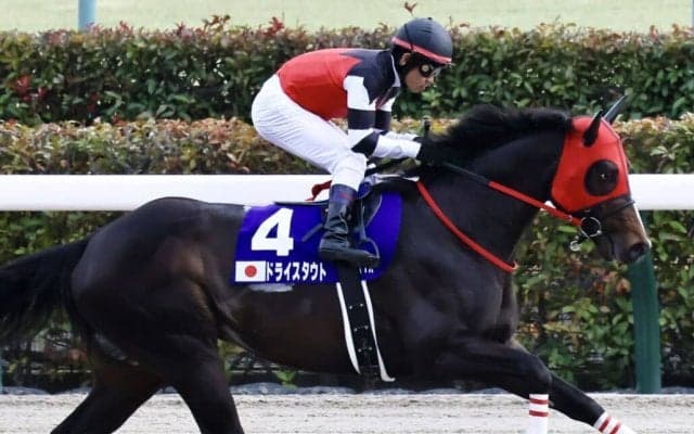 【かきつばた記念】ドライスタウトなどJRAから5頭が出走