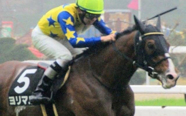 青葉賞は大寒桜賞覇者が好成績 今年はテイエムオーシャンの仔が重賞制覇を狙う