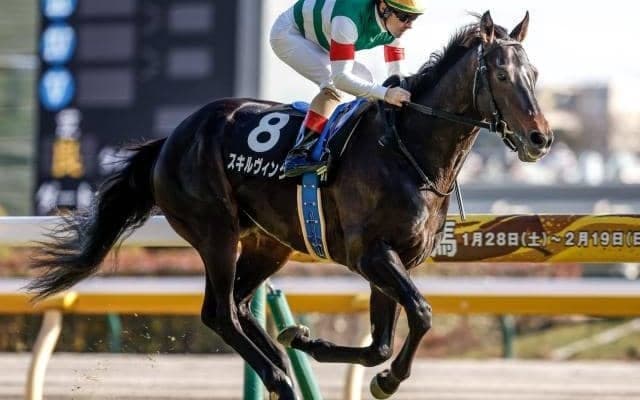 【青葉賞枠順確定】スキルヴィングは6枠11番、グランヴィノスは4枠6番