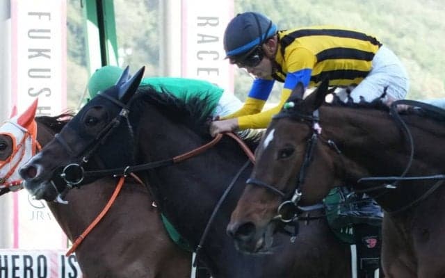 【福島牝馬S】団野「本当に立派な馬」ステラリアが重賞初制覇