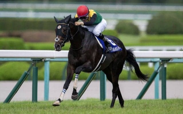 【天皇賞・春】連覇を狙うタイトルホルダーは2枠3番