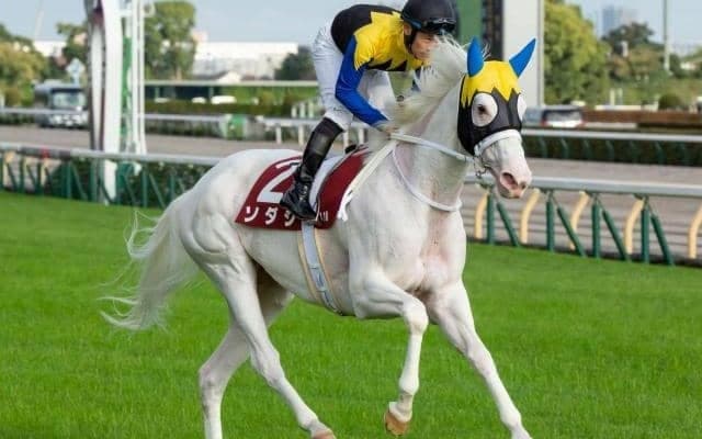 ソダシやメイケイエールなど豪華メンバー集結 ヴィクトリアM出走想定馬18頭