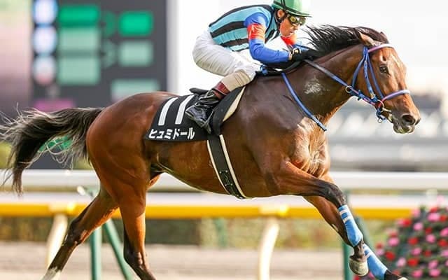 京都開幕週を徹底分析！ 枠順＆種牡馬から天皇賞(春)の激走候補2頭が急浮上