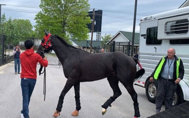 【ケンタッキーダービー】マンダリンヒーローの出走順位は23番目