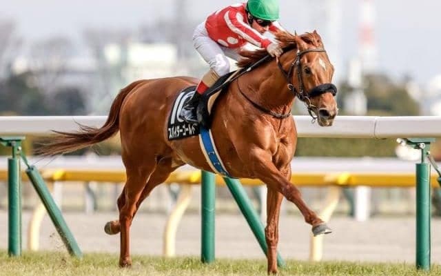 破竹の4連勝中スパイダーゴールドなど 新潟大賞典出走想定馬22頭