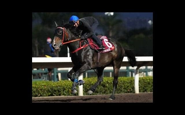 馬券発売の香港チャンピオンズデーは安田記念にも参戦する強すぎ香港馬、穴馬で元イングランド代表のオーウェン所有馬なども注目