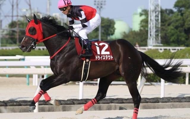 【名古屋・かきつばた記念枠順確定】ドライスタウトは8枠12番、テイエムサウスダンは2枠2番