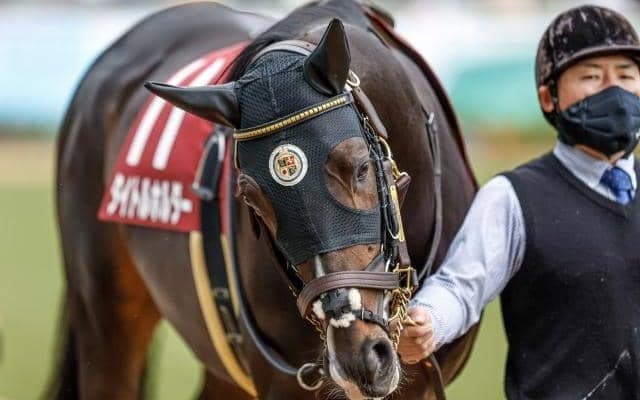 【天皇賞(春)予想】ぶっちぎりの圧勝に油断禁物！ 勝利の遠ざかる意外な前走データ