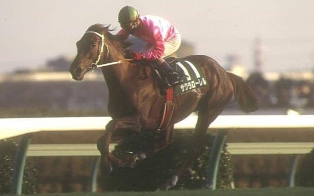 【96年天皇賞(春)プレイバック】遅咲きの大輪 サクラローレル