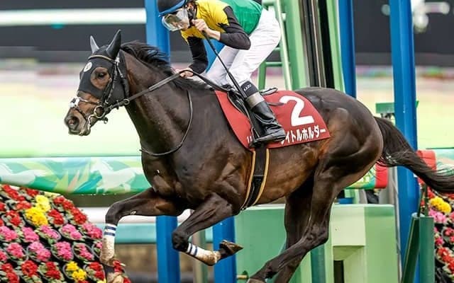 【AI予想・天皇賞(春)】世代交代はまだ早い!? メンバー随一の実績にかけて譲れない長距離王の座