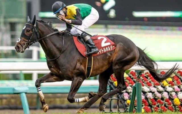 【今日の注目ポイント】京都で天皇賞・春 東京ではオークス最終便のスイートピーSなど