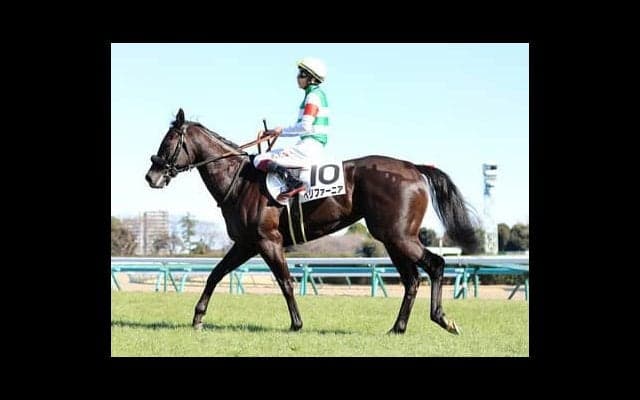 キャリア３戦で桜花賞３着のペリファーニア オークスでは「打倒リバティアイランド」へ虎視眈々