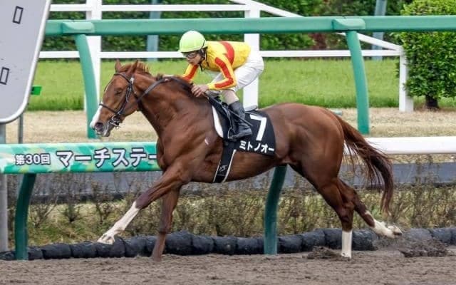 【園田・兵庫CS枠順確定】ミトノオーは5枠6番、ベラジオソノダラブは6枠7番