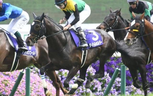 タイトルホルダーは右前肢跛行の診断 トーセンカンビーナは左前浅屈腱不全断裂/4月30日の出来事一覧